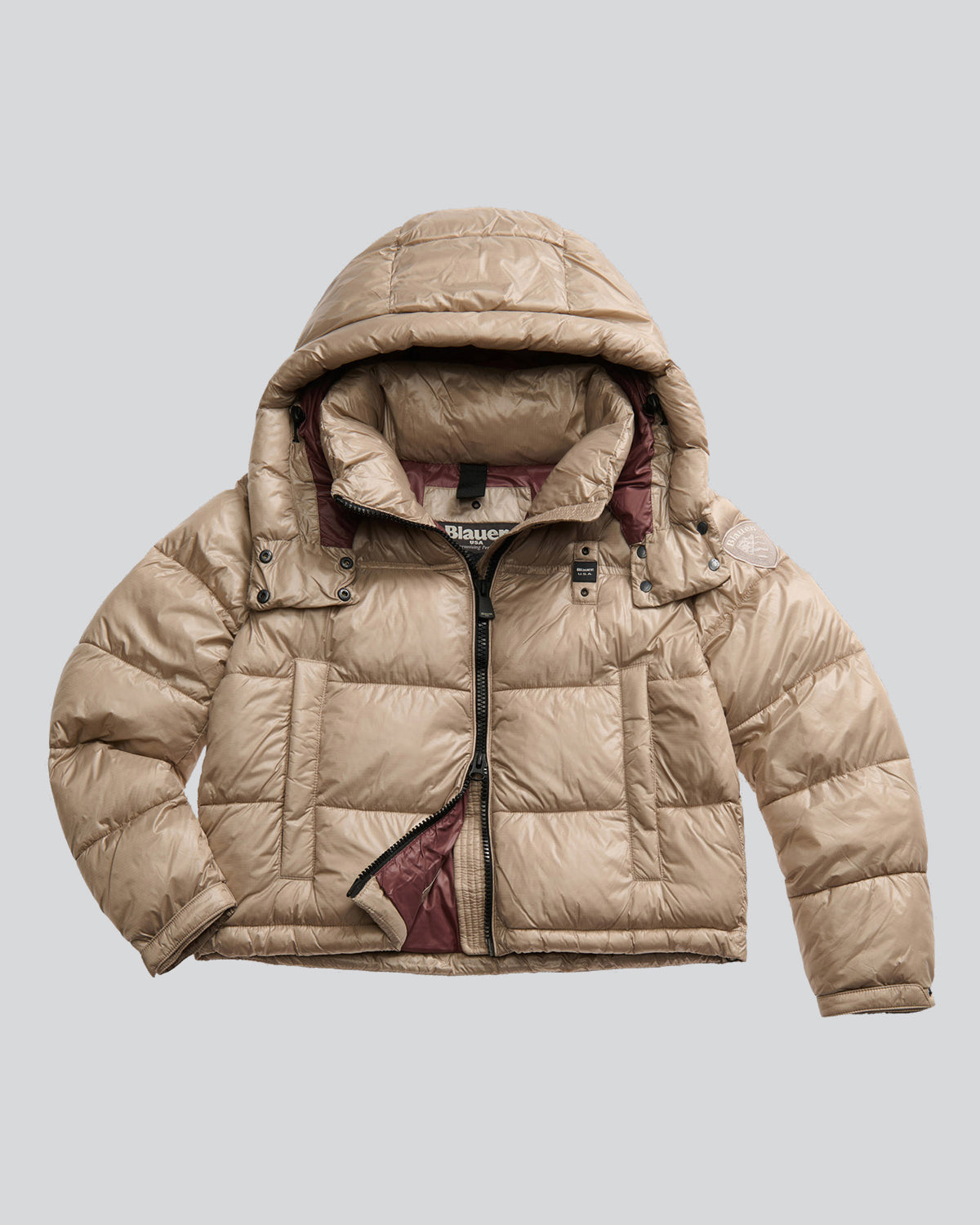 BLAUER 25WBLDC02170301ED