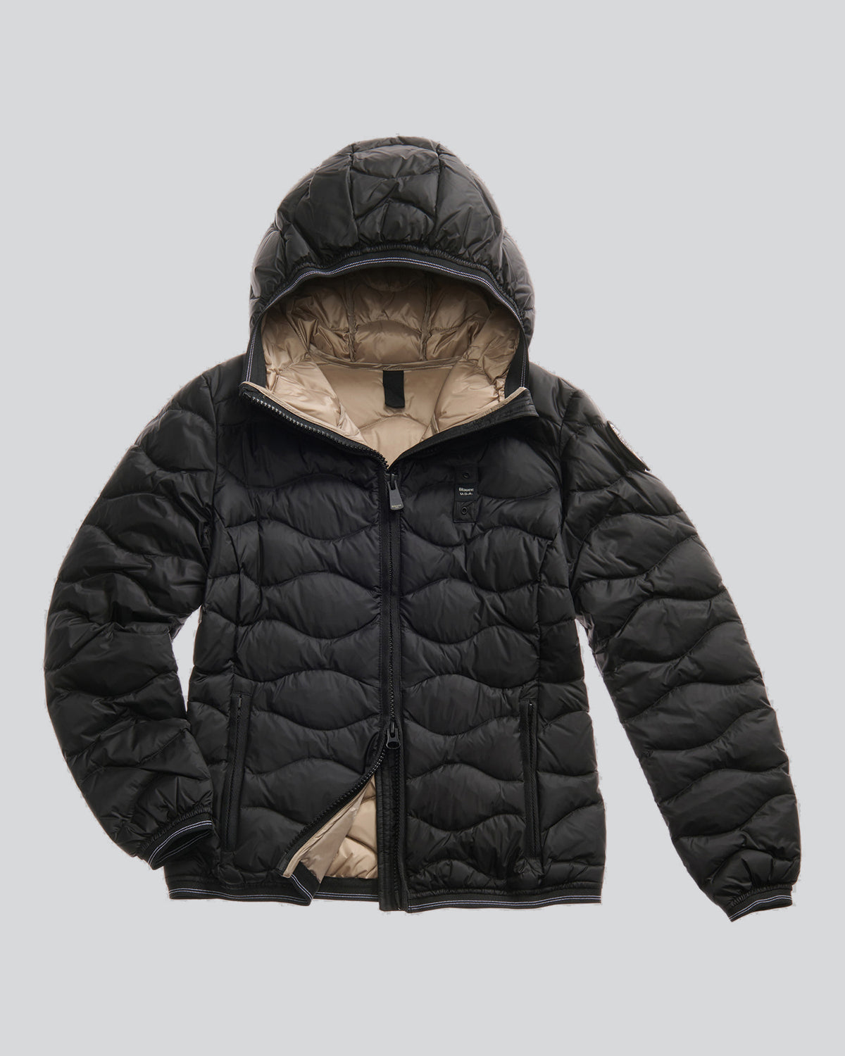 BLAUER 25WBLDC03095999EI