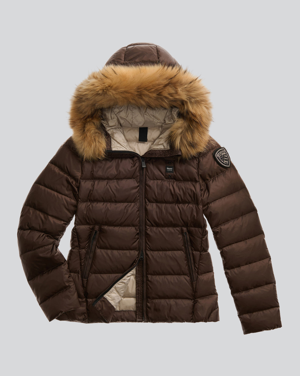 BLAUER 25WBLDC03099365EI