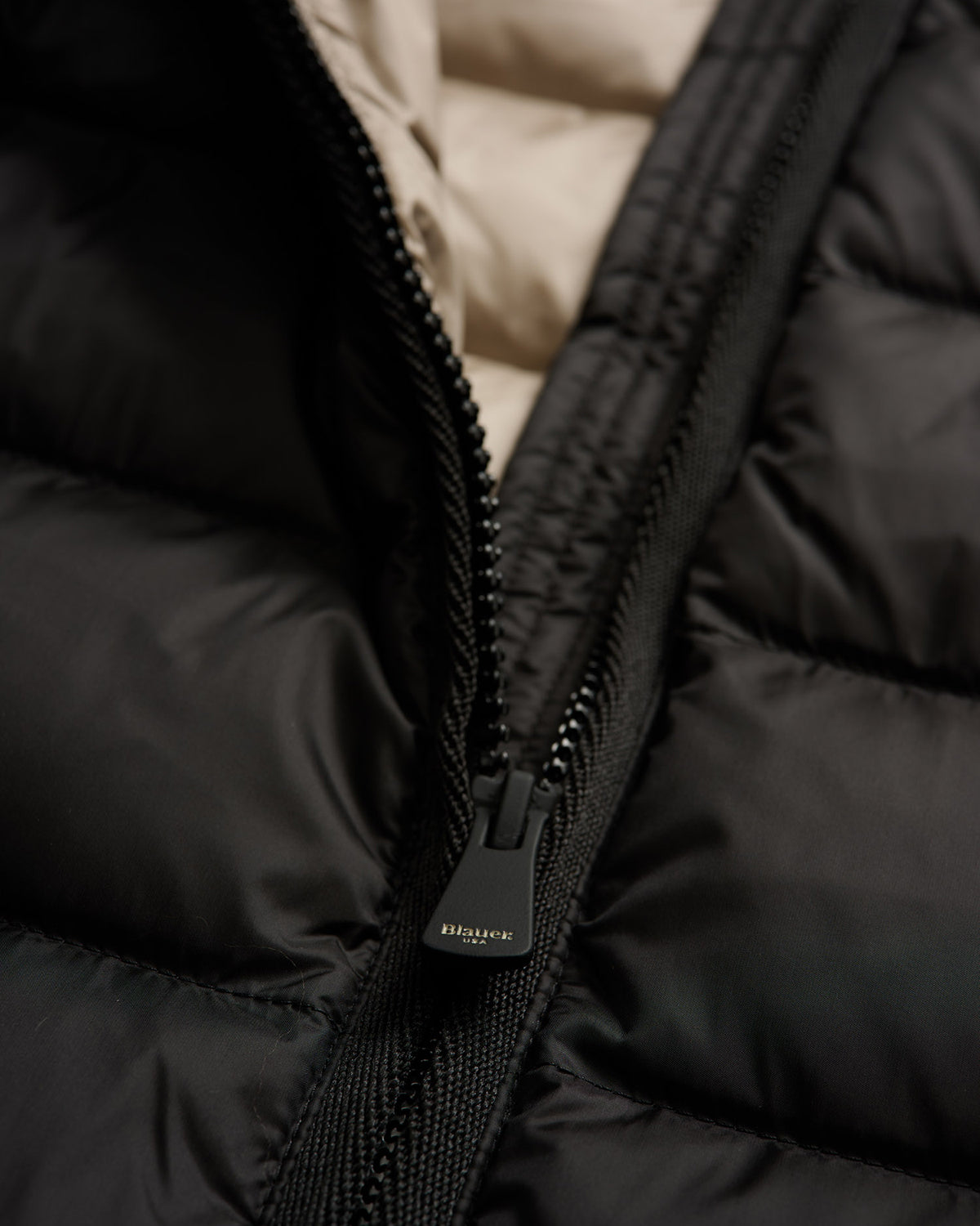 BLAUER 25WBLDC03099999EI