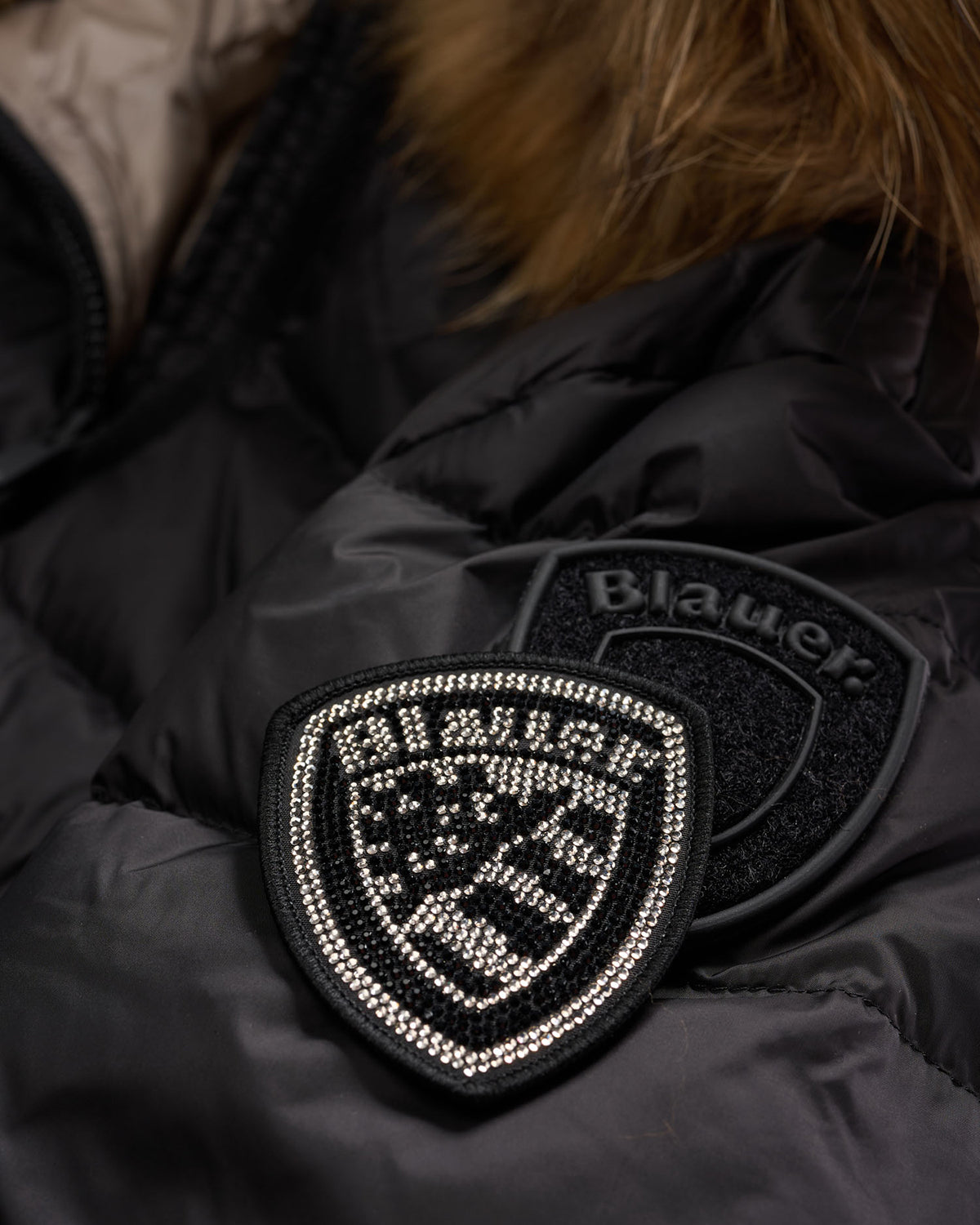 BLAUER 25WBLDC03103999EI