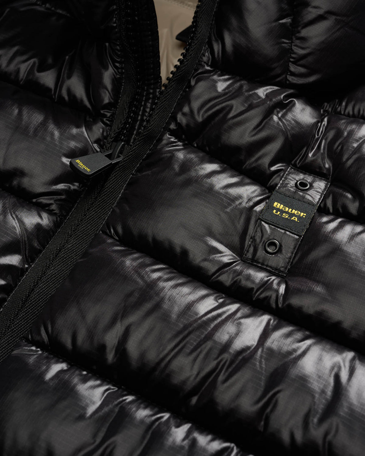 BLAUER 25WBLUC02079999EI