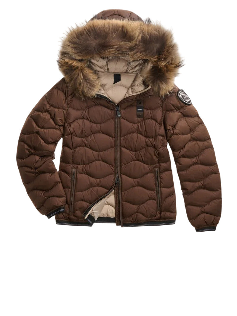Blauer aldie brown