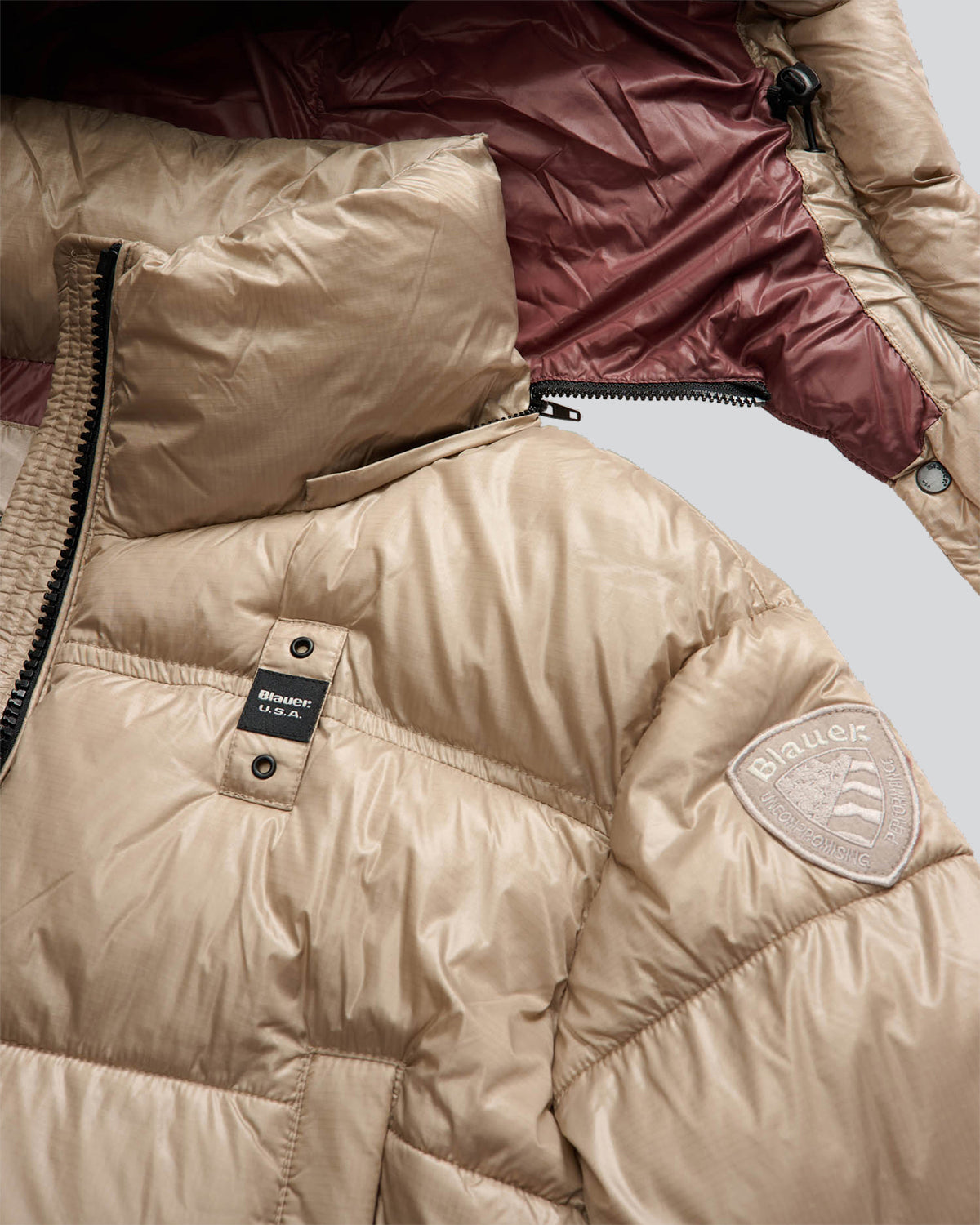 BLAUER 25WBLDC02170301ED