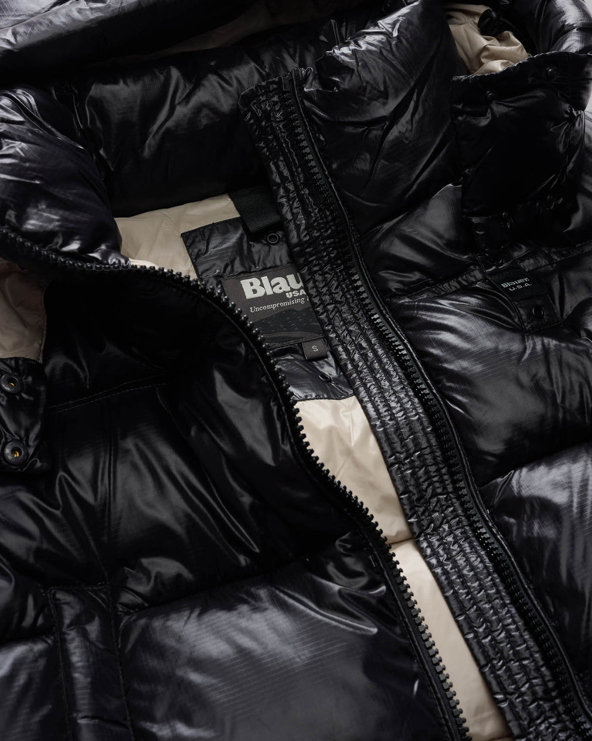 BLAUER 25WBLDC02170999EI