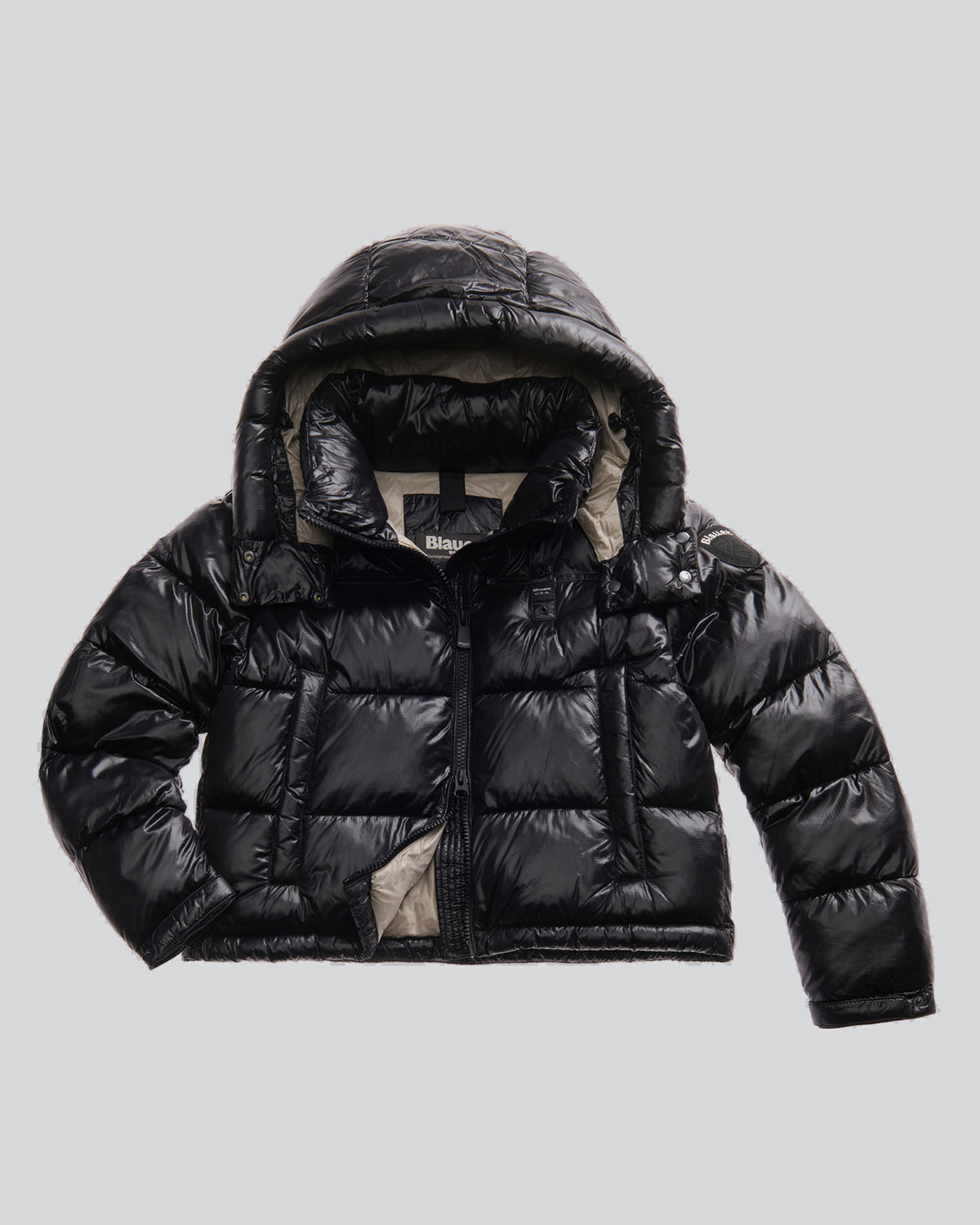 BLAUER 25WBLDC02170999EI