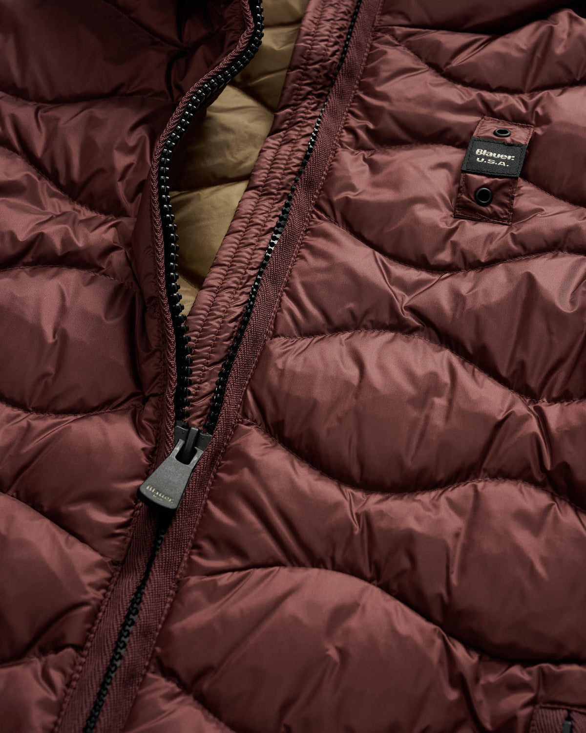 BLAUER 25WBLDC0309550ALT