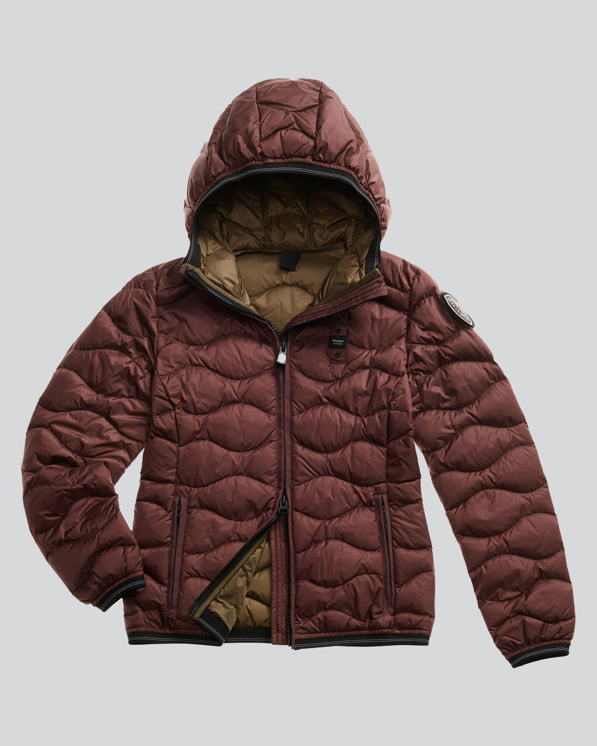 BLAUER 25WBLDC0309550ALT