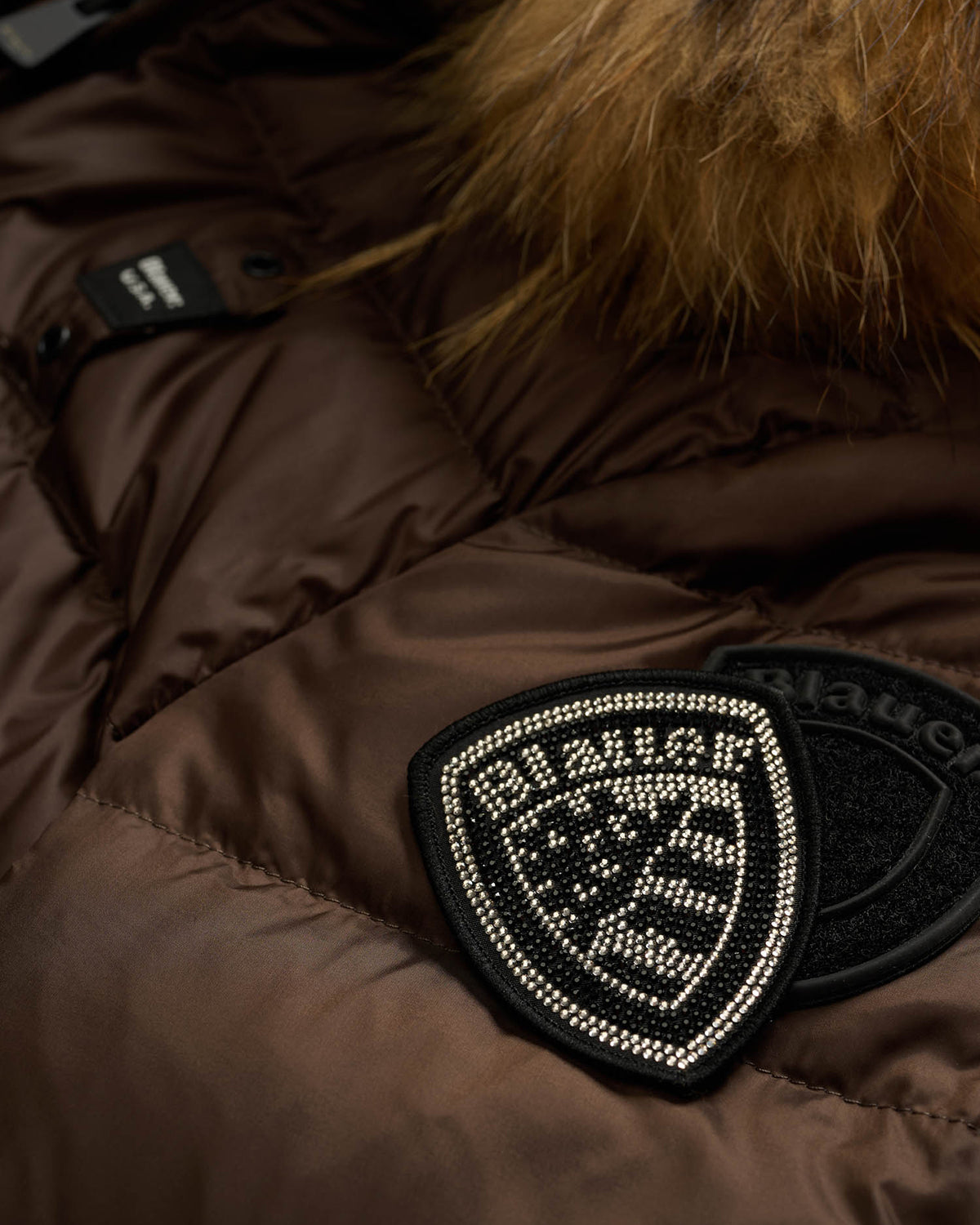 BLAUER 25WBLDC03099365EI