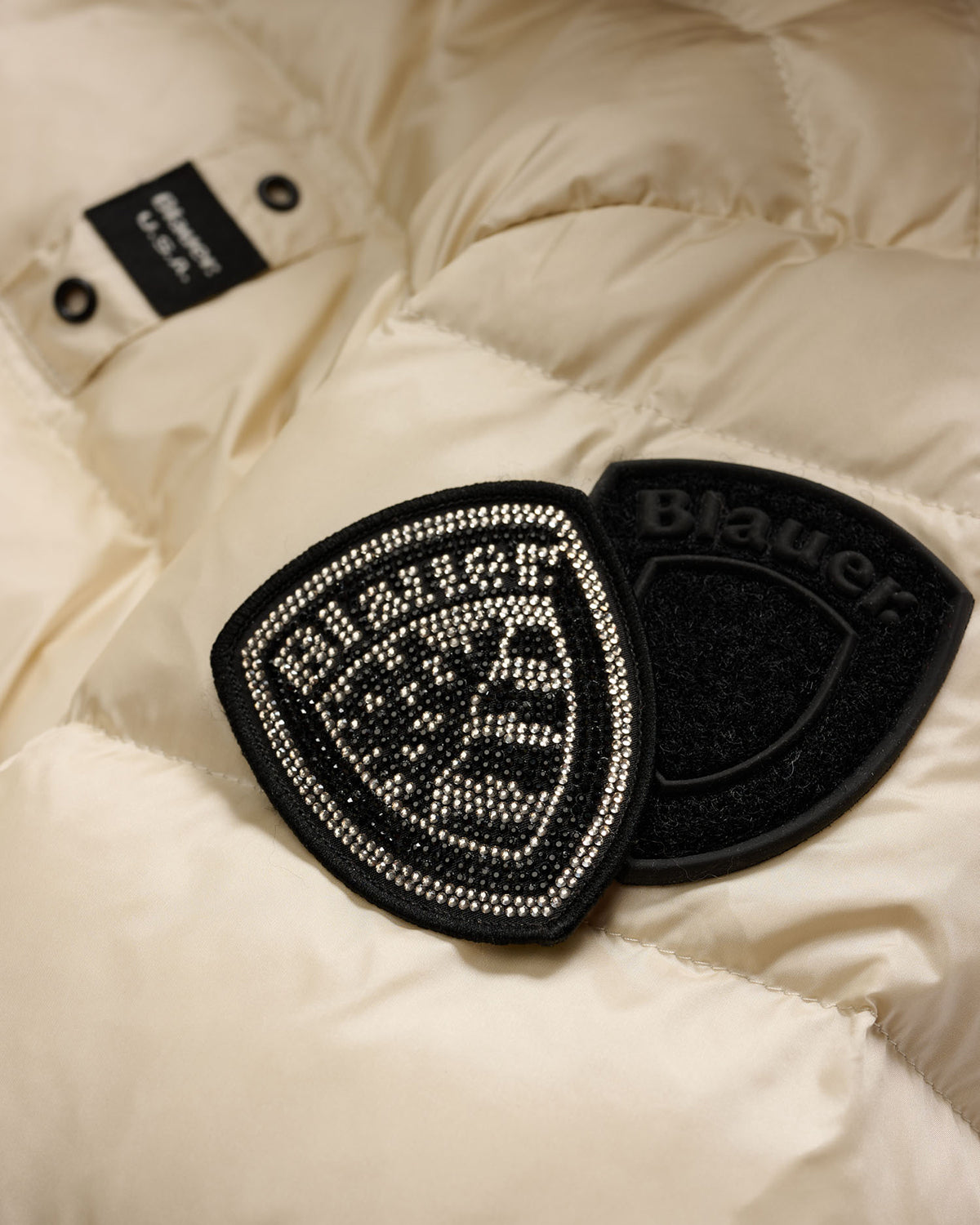 BLAUER 25WBLDC03099907GG