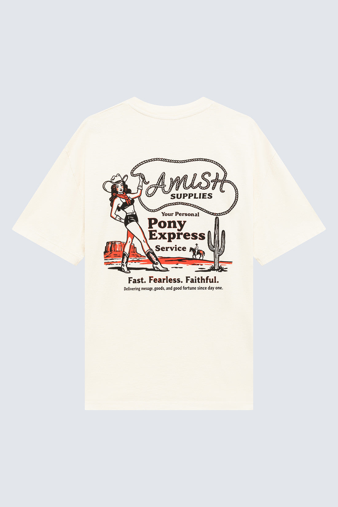 AMISH AMX227CV180111C0087