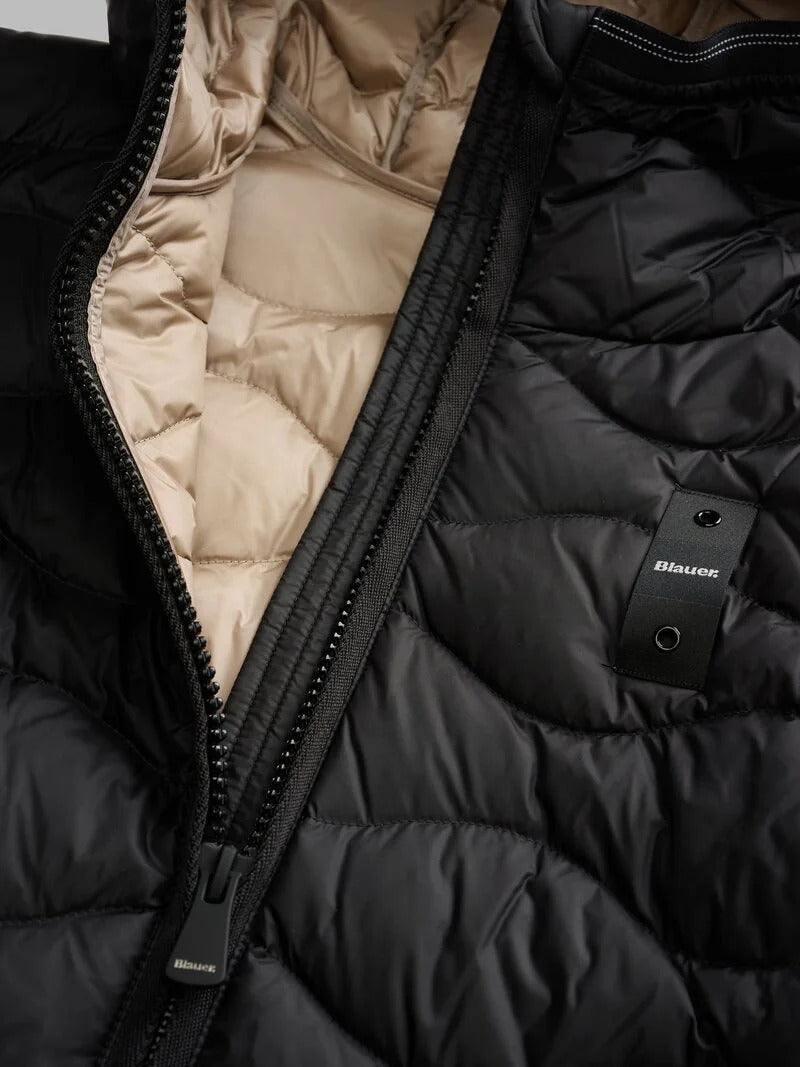 Blauer camelia nero 