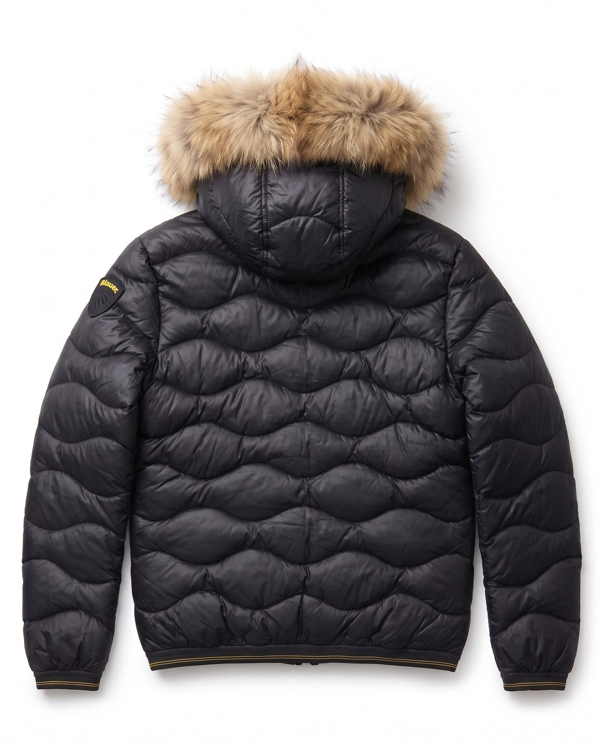 26WBLUC03065-006355999 BLAUER