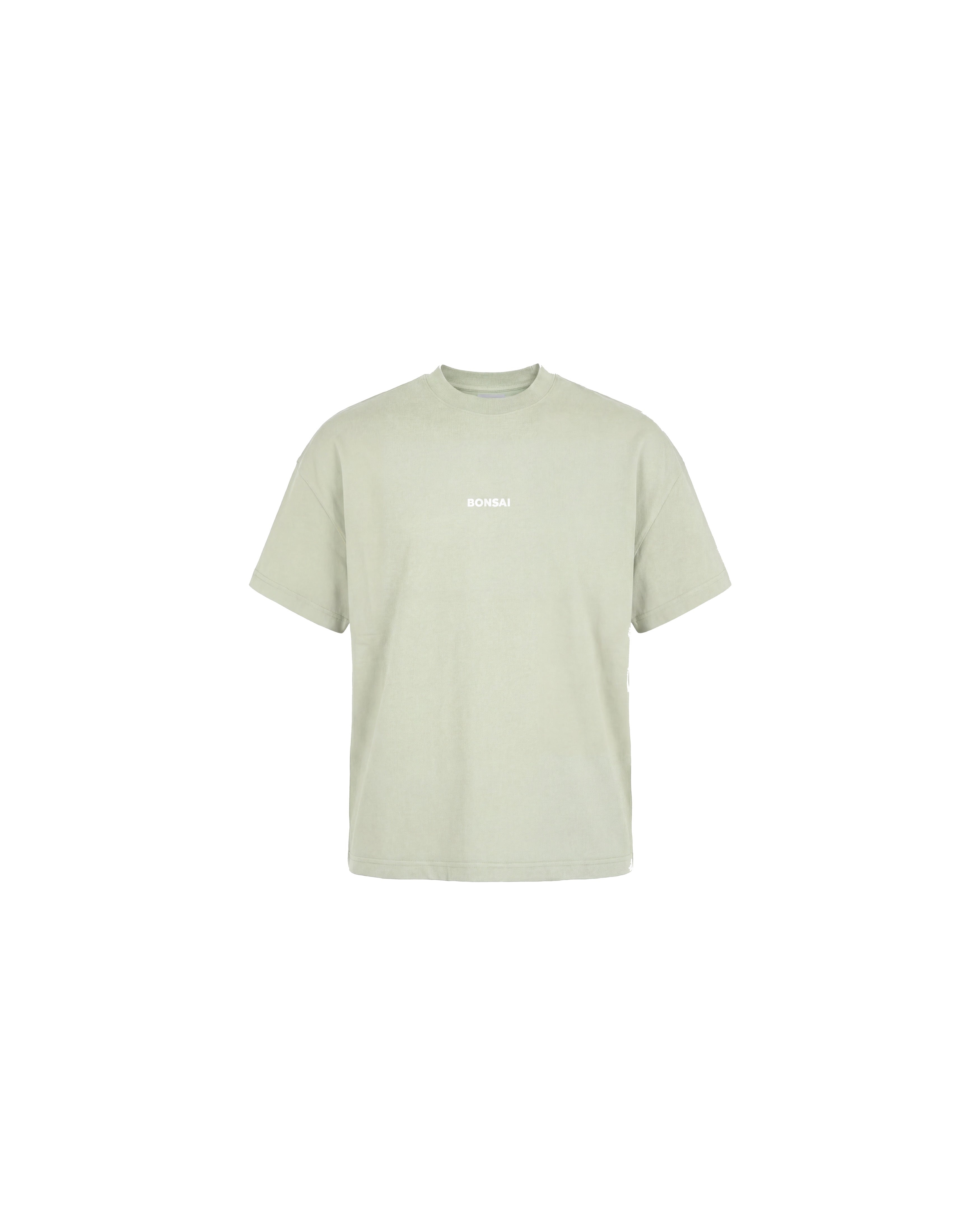 BONSAI TS001001A