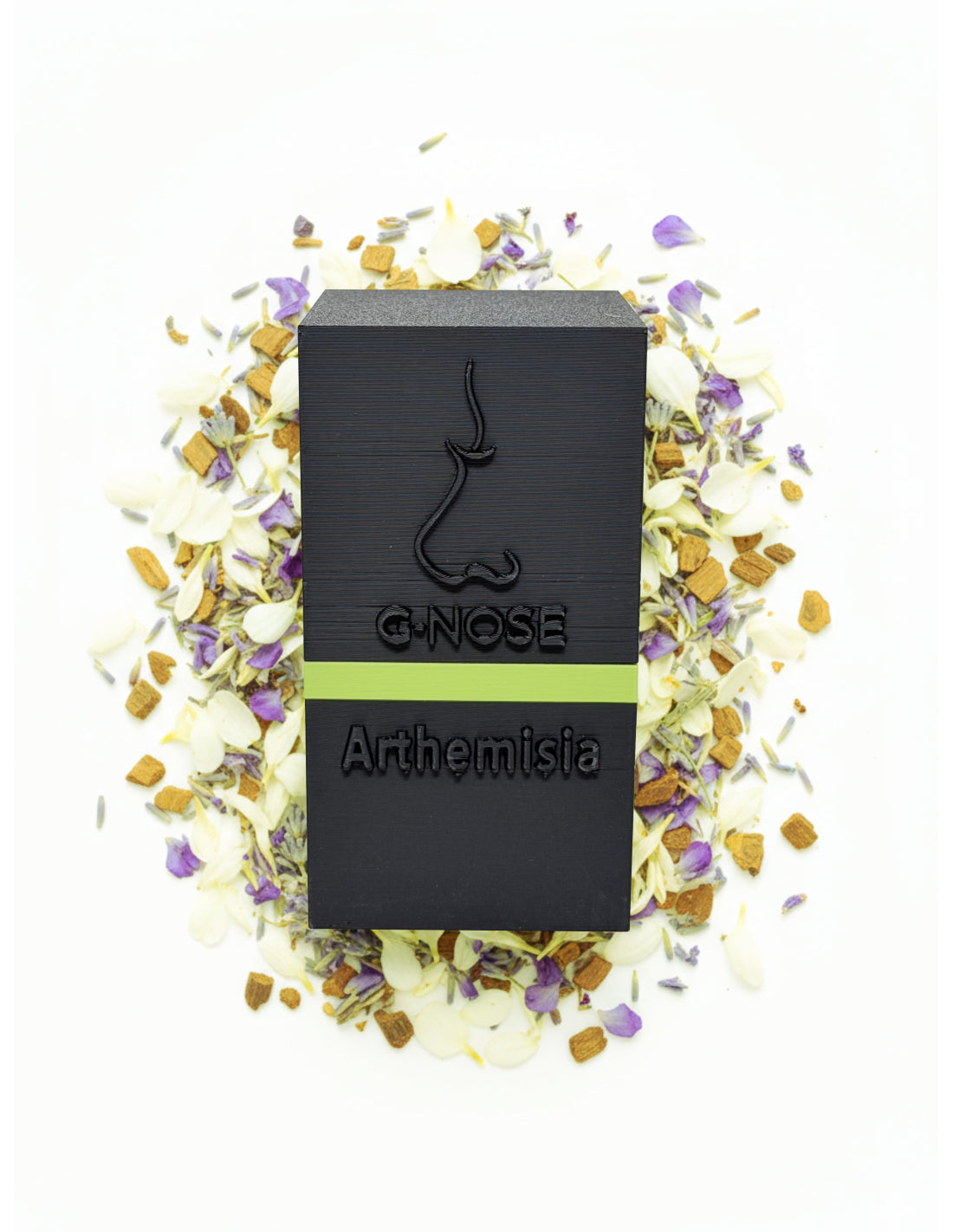 GHOST NOSE ARTHEMISIAV